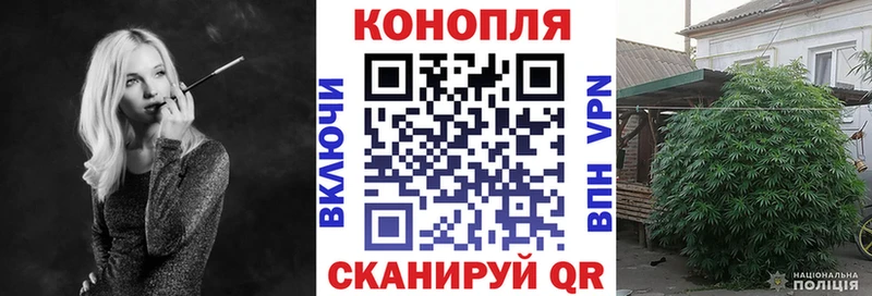 Канабис VHQ  где продают   Яровое 
